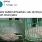 6 Potret Hewan Tak Sesuai dengan Kandangnya Ini Bikin Gagal Paham (sumber: Twitter/txtdarionlshop)