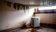Cara Mengatasi Ruangan Lembab: 12 Solusi Ampuh agar Rumah Bebas Jamur dan Bau Apek