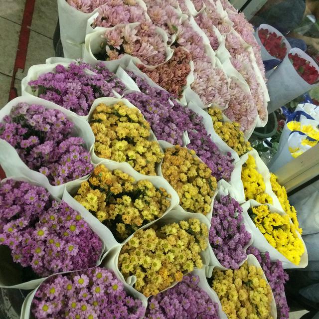 Omzet Turun Pedagang Sebut Pamor Bunga Sebagai Hadiah Turun Bisnis Liputan6 Com