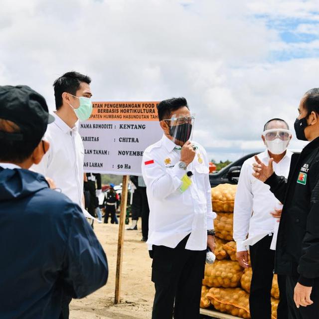 Jokowi Didampingi Mentan Tinjau Food Estate Di Kabupaten Humbahas Bisnis Liputan6 Com
