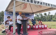 Pemkab Sigi Pastikan Ketahanan Pangan Melalui Panen Raya Jagung dan Padi