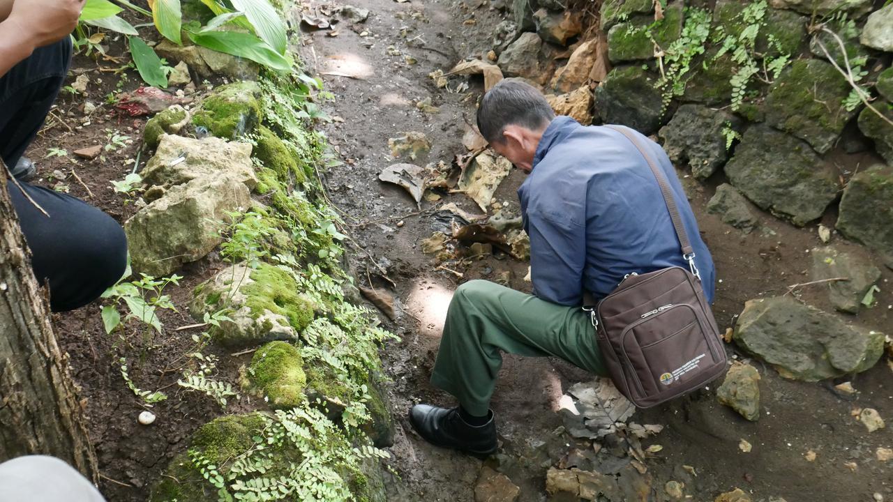 Petugas KSDA DIY teliti jejak kaki yang diduga Macan yang meresahkan warga Gunungkidul