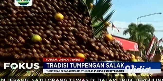 VIDEO: Mengenal Tradisi Tumpengan Salak di Tuban