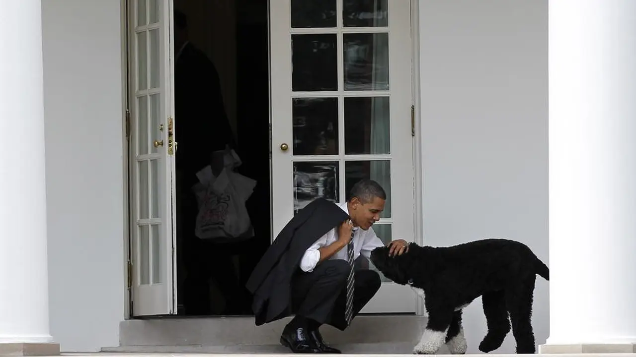 Dalam file foto 15 Maret 2012 ini, Presiden Barack Obama mengelus anjing keluarga bernama Bo, di luar Oval Office Gedung Putih di Washington. (AP Photo/Pablo Martinez Monsivais)