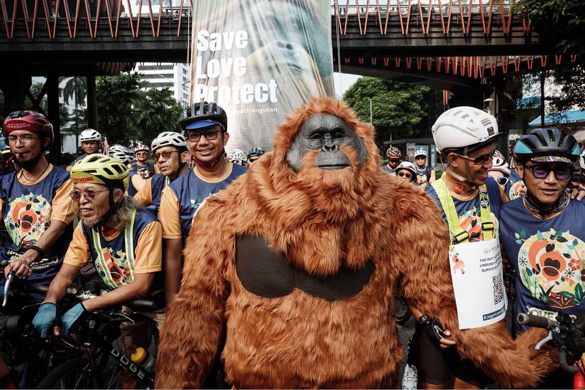 FOTO: Gowes Berkostum Orangutan di Jakarta, Seruan untuk Selamatkan Habitat Satwa Langka