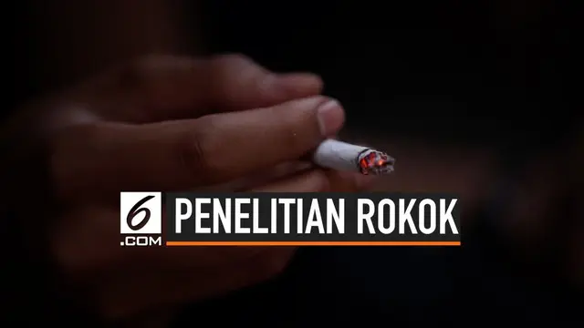 VIDEO: Bantuan Sosial Malah Dorong Warga Merokok?