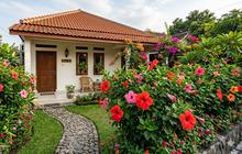 7 Tanaman Hias dengan Bunga yang Kontras dengan Warna Daunnya, Tampilannya Langsung Mencuri Perhatian