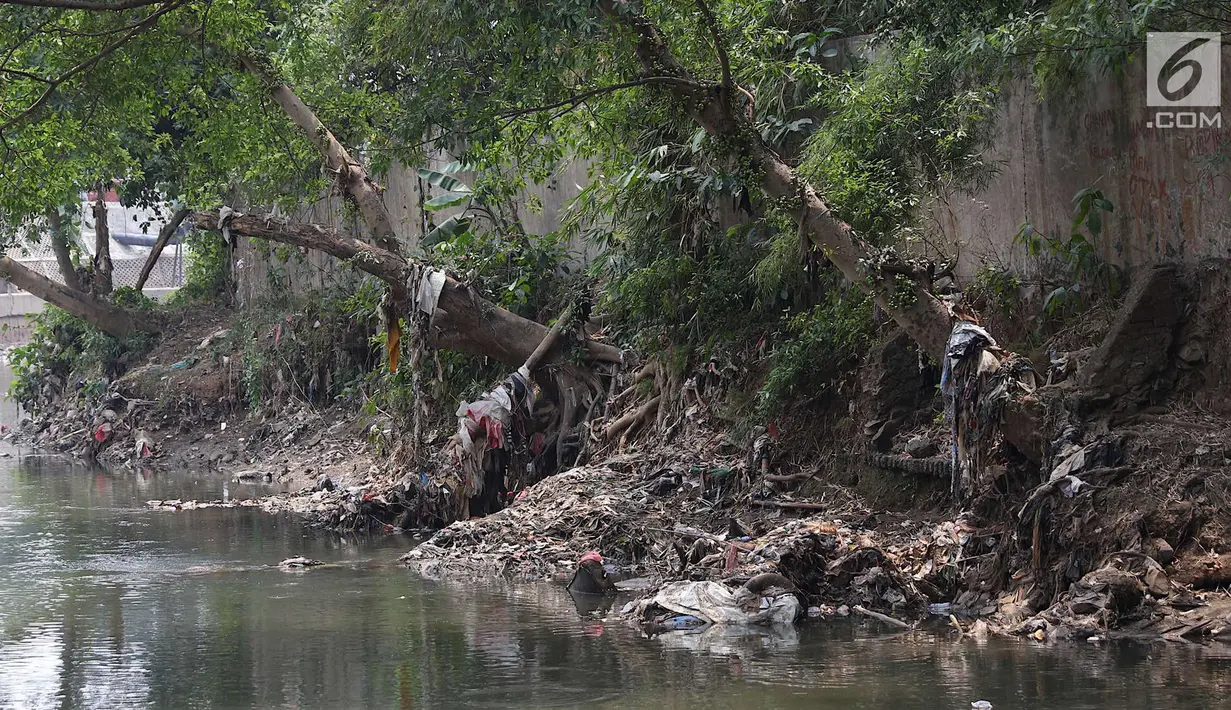 Sampah terlihat di bantaran Sungai Ciliwung, Jakarta, Jumat (7/9). Dinas LH DKI Jakarta mengungkapkan bahwa 61% aliran sungai di Jakarta mengalami pencemaran berat yang berasal dari limbah domestik dan indsutri. (Liputan6.com/Immanuel Antonius)
