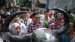 Djarot Saiful Hidayat saat kunjungan ke Jalan Ali Sadikin di Kelurahan Papanggo, Jakarta Utara (23/11). ). Djarot mengungkapkan pihaknya bakal segera merapikan bangunan-bangunan sekolah, khususnya di Papanggo pada tahun 2017. (Liputan6.com/Faizal Fanani)