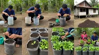Cara Menanam Bayam di Galon Bekas, Mudah untuk Ketahanan Pangan
