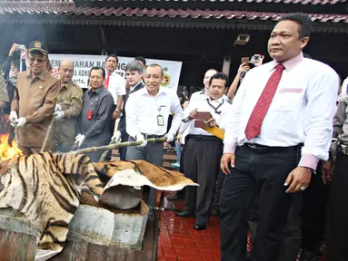 Petugas Bareskrim Polri membakar kulit harimau saat pemusnahan barang bukti bagian hewan yang dilindungi, Jakarta, Selasa (2/2). Barbuk berupa kulit, tulang, dan taring harimau, kerapas penyu, off set penyu dan kulit buaya (Liputan6.com/Immanuel Antonius)