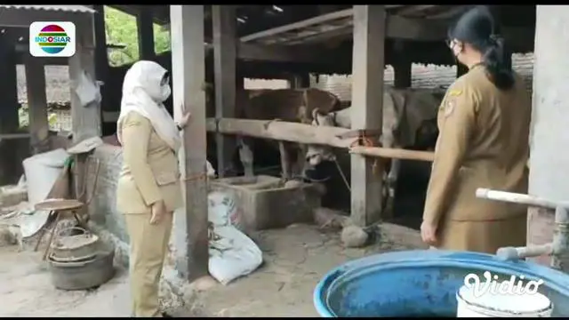 Perbarui informasi Anda bersama Fokus edisi (12/05) dengan pilihan topik sebagai berikut, Sapi Terkena Penyakit Mulut dan Kuku Aman Dikonsumsi, Belajar Tatap Muka di Tengah Ancaman Hepatitis Akut, Serunya Bermain Buayan Kaliang, Banjir Rendam Permuki...