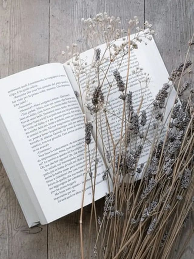 Ulasan Singkat Buku La Tahzan