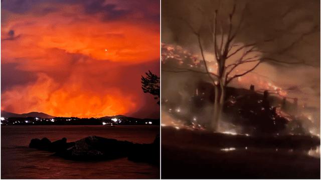 Kebakaran hutan di Jepang. (ZT_FOLLOWERS/X, RYO/X)