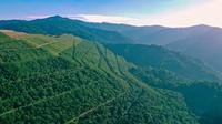 Hari Hutan Internasional dapat dijadikan momentum untuk meningkatkan kesadaran tentang pentingnya hutan dan upaya yang dapat dilakukan untuk melindungi dan memperbaiki kondisi hutan. (Dok. PT Amman Mineral Internasional (AMMAN))