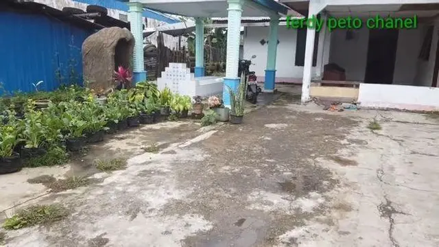 [Fimela] Betrand Peto