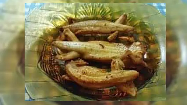 5 Makanan Ekstrem Ini Pasti Bikin Kamu Tercengang