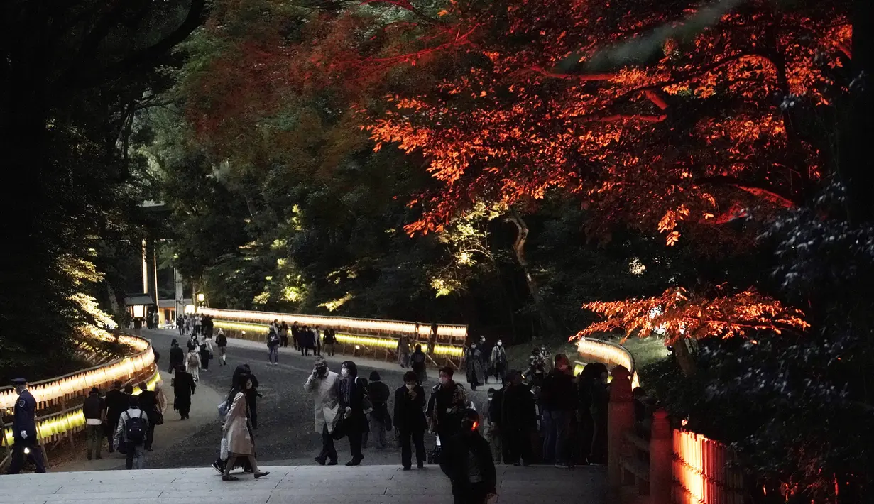 Ribuan lentera dan dekorasi bercahaya diterangi untuk menandai peringatan 100 tahun Kuil Meiji Jingu Shinto di Tokyo, Jumat (30/10/2020). Meiji Jingu, dibangun untuk memberi penghormatan kepada Kaisar Meiji dan Permaisuri Shoken pada tahun 1920 (AP Photo/Eugene Hoshiko)
