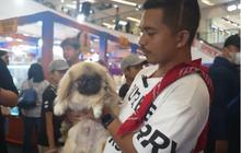 ⁠Lucu, Anjing Pekingese Kerajaan China di Usia 6 Bulan Harganya Rp13 Juta 'Wah Keren Banget