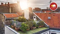 Konsep roof garden memang sudah lama dikenal, namun belakangan ini mulai menjadi tren desain di perkotaan.