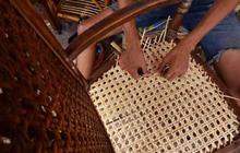 Mengais rejeki dari rotan