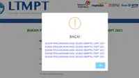 Tangkapan layar halaman aplikasi pengumuman SBMPTN Tiruan.