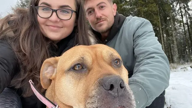 Kisah mengharukan menuju momen perpisahan seekor anjing Bumble dengan pemiliknya, Charlotte.