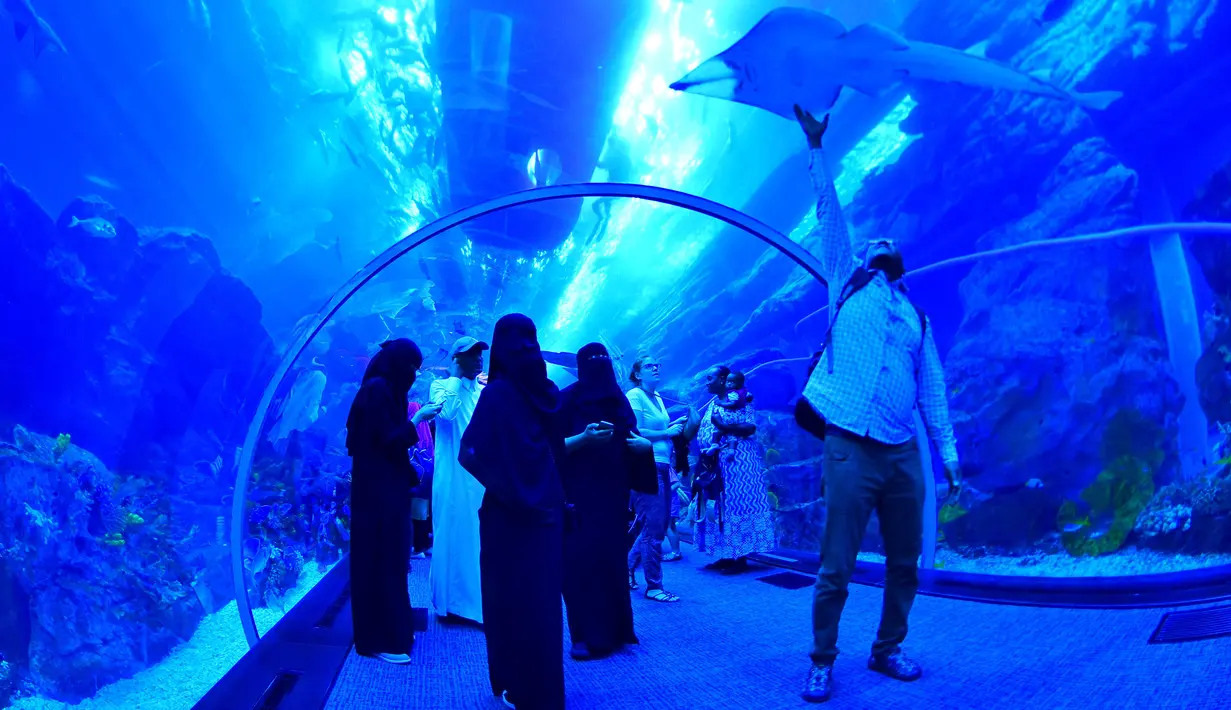 Wisatawan mengunjungi akuarium Dubai Mall di pusat kota Dubai, UEA pada Rabu (2/1). Di sana ada 33.000 biota laut dengan 85 spesies berbeda, termasuk 400 kombinasi dari hiu dan ikan pari. (GIUSEPPE CACACE / AFP)