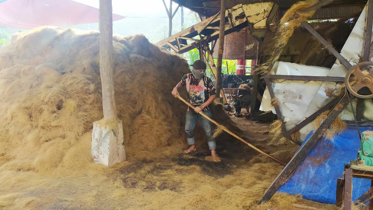 Lewat PLTBg, Limbah Kelapa Sawit Bisa Bisa Diolah untuk Hasilkan Listrik EBT