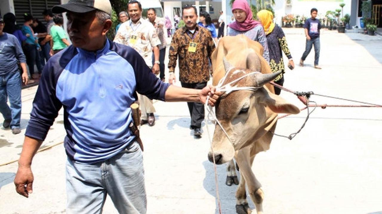 Menengok pemotongan hewan kurban di Rutan Pondok Bambu