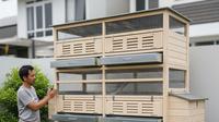 Kandang ayam Model Kabinet Vertikal Bertingkat (Gemini AI)