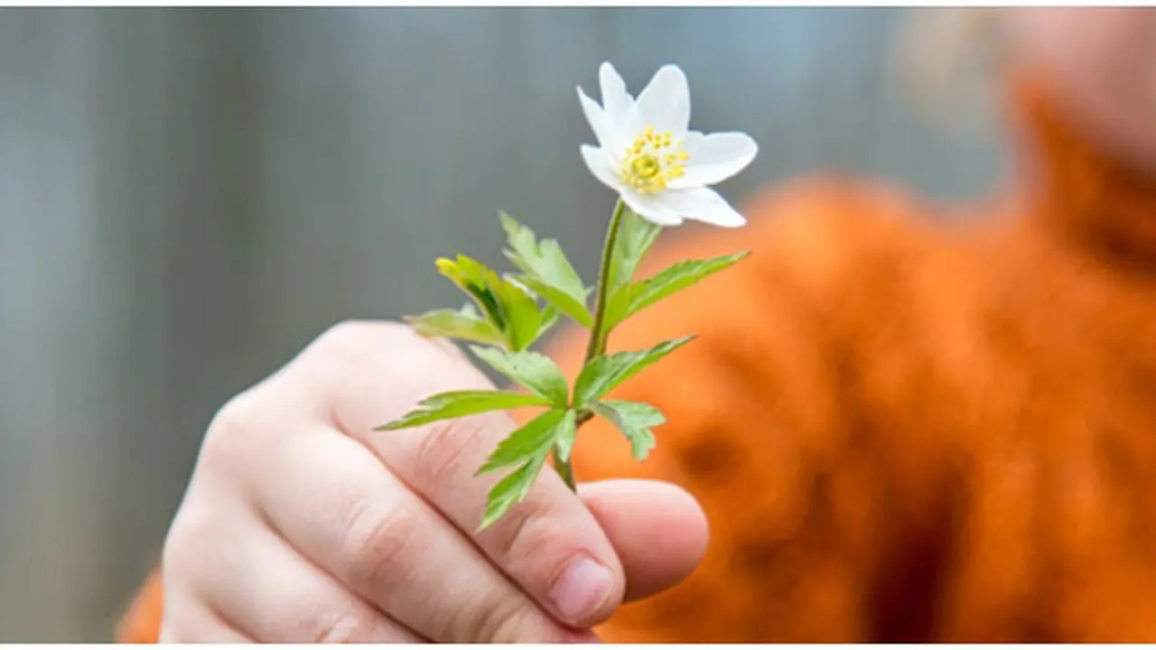 Foto: copyright shutterstock.com
