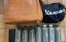 BNN Gagalkan Peredaran Ganja dan Ekstasi 2 Kg buat Diedarkan saat Malam Tahun Baru di Bali