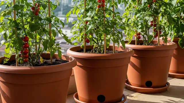 Kebun Sayur yang Bisa Ditanam di Pot Kecil dalam Apartemen