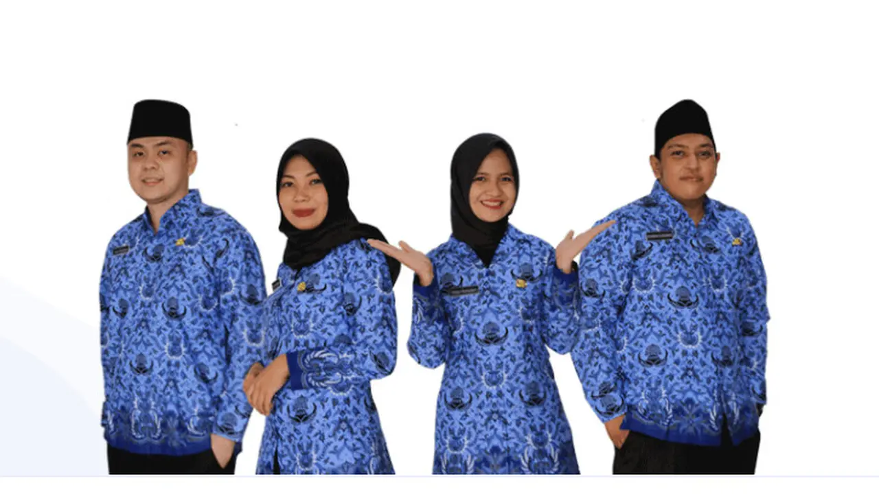 ASN atau PNS. Dok https://sscasn.bkn.go.id/