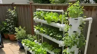 Cara Membuat Kebun Sayur Hidroponik di Teras Rumah, Praktis, Hemat, dan Cocok untuk Lahan Terbatas