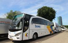 Damri Buka Lowongan Kerja Sopir buat SMA, SMK