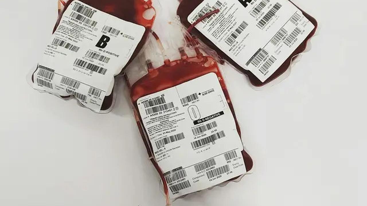 Kenapa Golongan Darah B Sering Dibilang Unik dan Susah Dipahami? Ini Penjelasannya