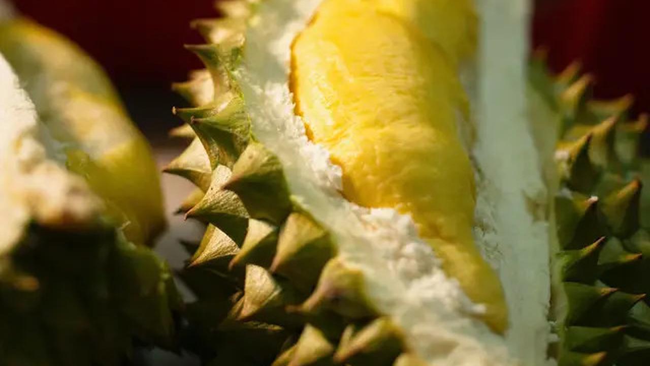 Cara Mengonsumsi Durian yang Aman untuk Kolesterol, Wajib Dicoba