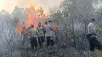 13 Hotspot Membara di Way Kambas, Operasi Udara Disiapkan