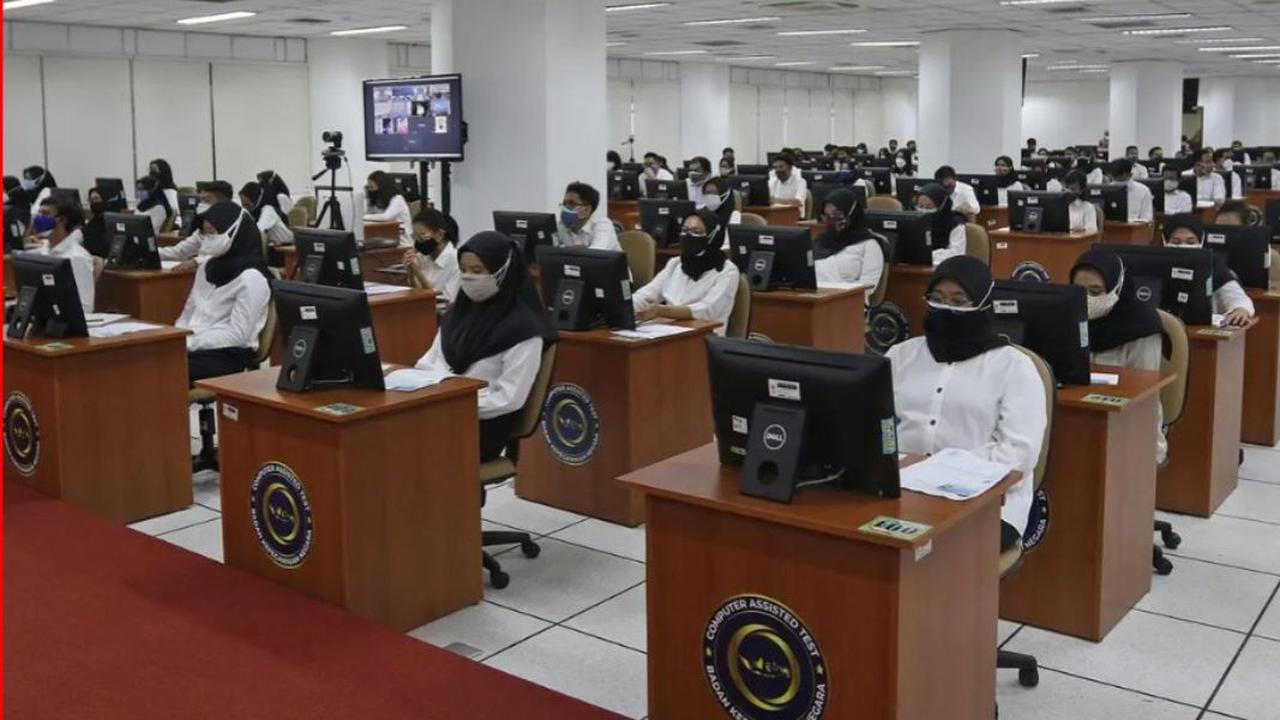 Cara Akses Pengumuman CPNS 2024: Link Resmi & Tips Mengatasi Gangguan Teknis