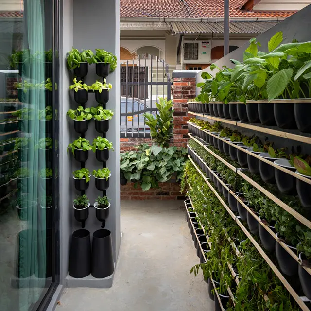 9 Model Rumah Mungil tapi Punya Halaman Belakang untuk Hidroponik