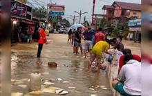 Waspada! Curah Hujan Tinggi Picu Banjir dan Longsor di Murung Raya, Akses Jalan Terputus
