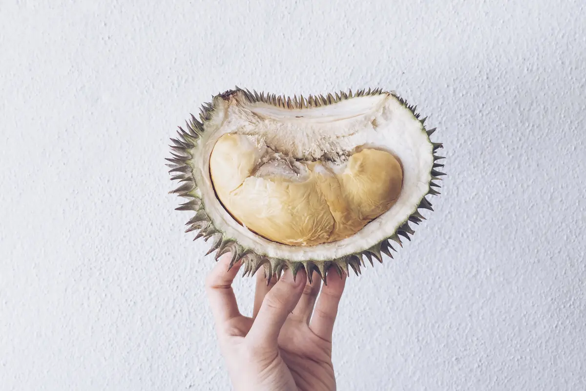 durian