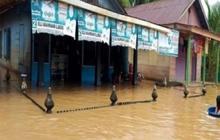 Pusdalops Sumut Catat 71 KK Terdampak Banjir Madina, Penanganan Terus Dilakukan