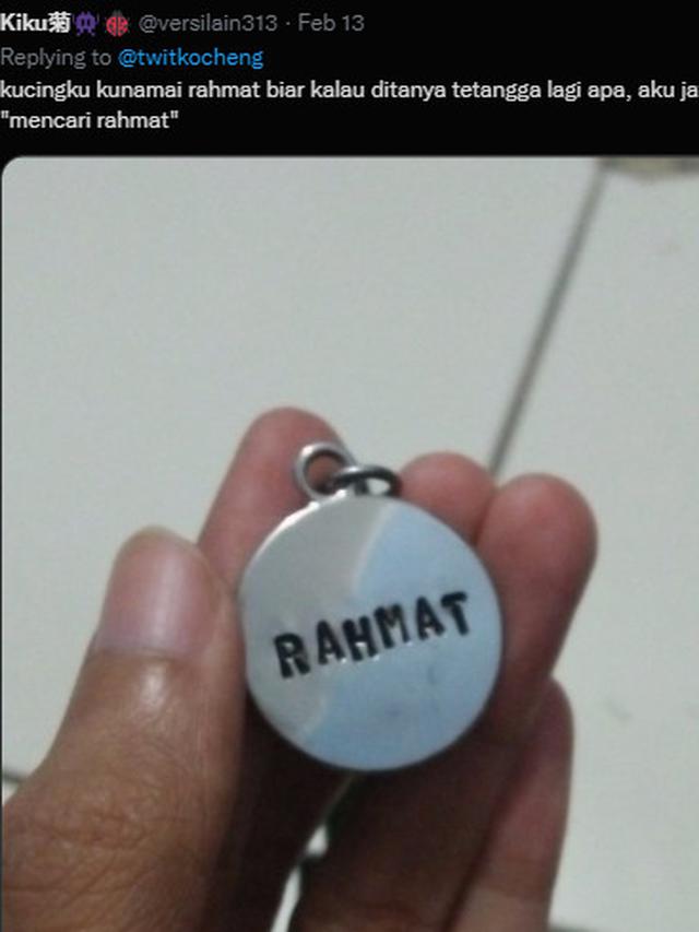 6 Nama Panggilan Kucing Ini Tak Biasa, Kocak Banget