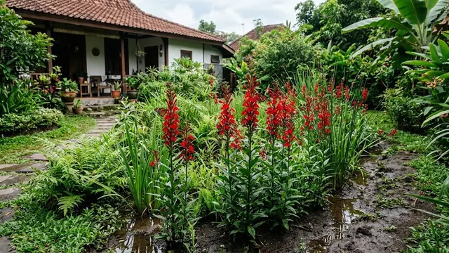 Cardinal Flower/AI Generated