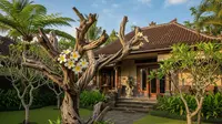 8 Inspirasi Halaman Rumah yang Menyatu dengan Pemandangan Alam, Ciptakan Hunian Nyaman dan Asri