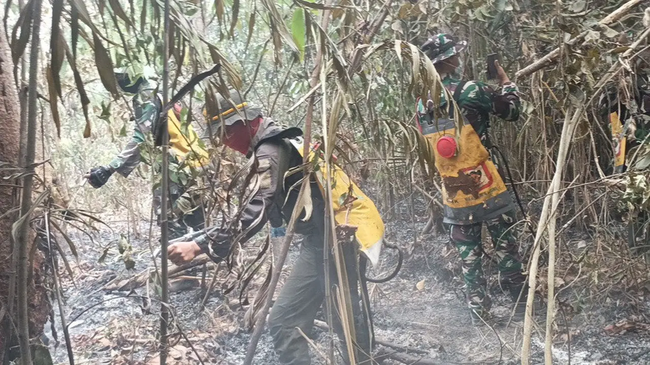 Penampakan TN Way Kambas yang Kembali Terbakar