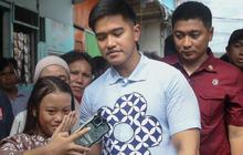 Survei Indikator Politik: Kaesang Lebih Populer Dibanding Irjen Ahmad Luthfi di Pilkada Jateng